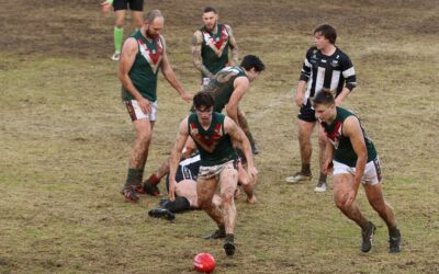 Woods fall to Pies